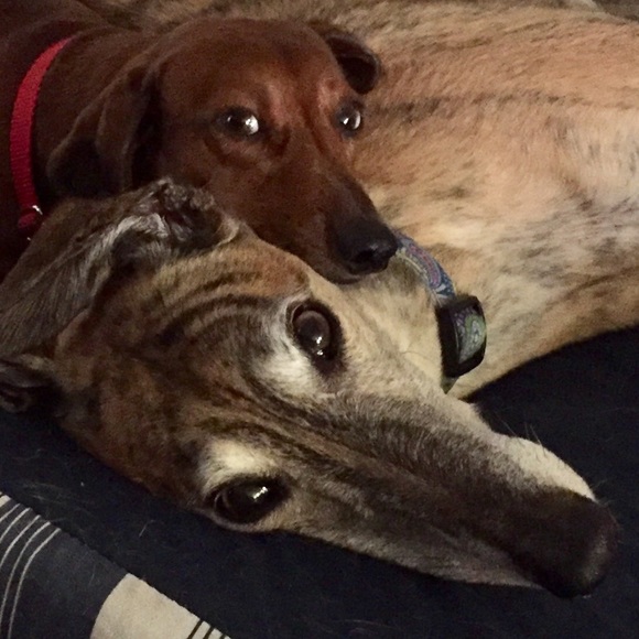 Meet your Posher, Catherine - Picture 4 of 8